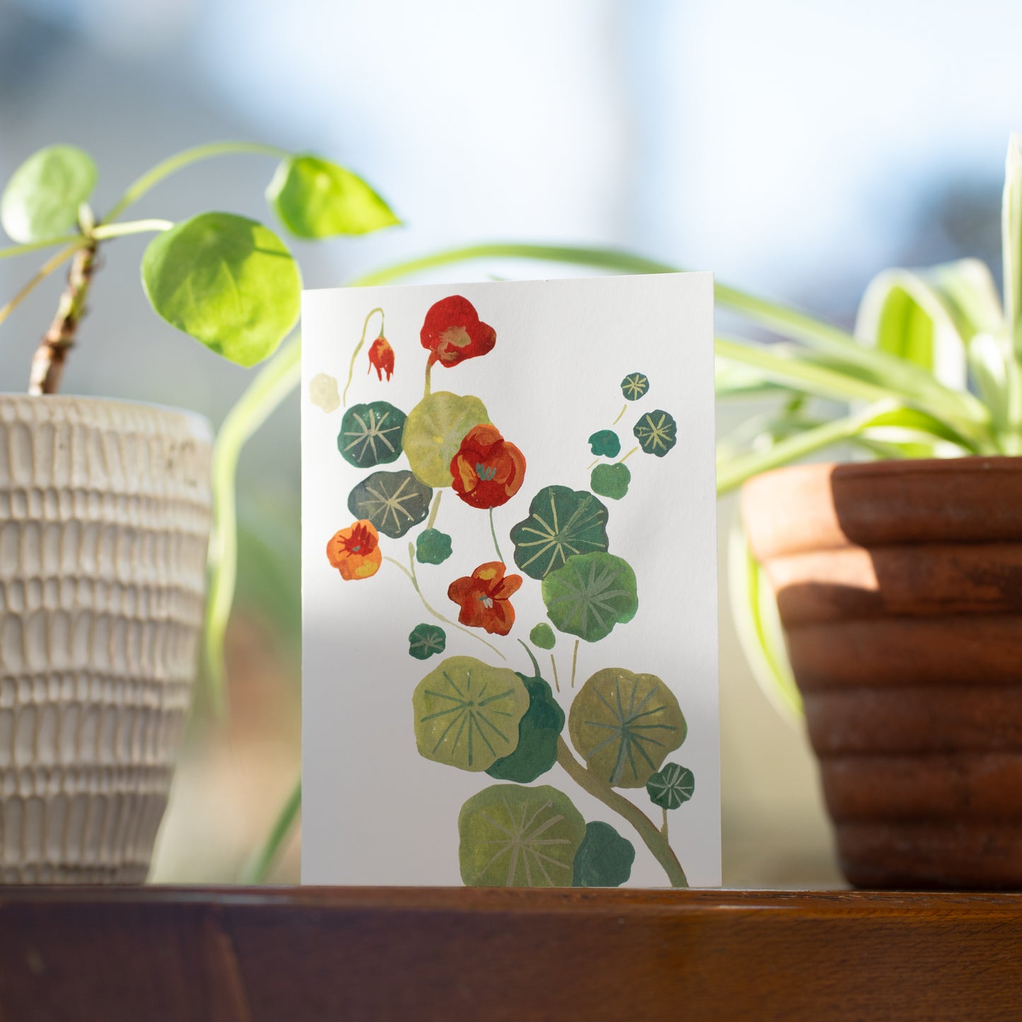 Greetings Card - Nasturtium