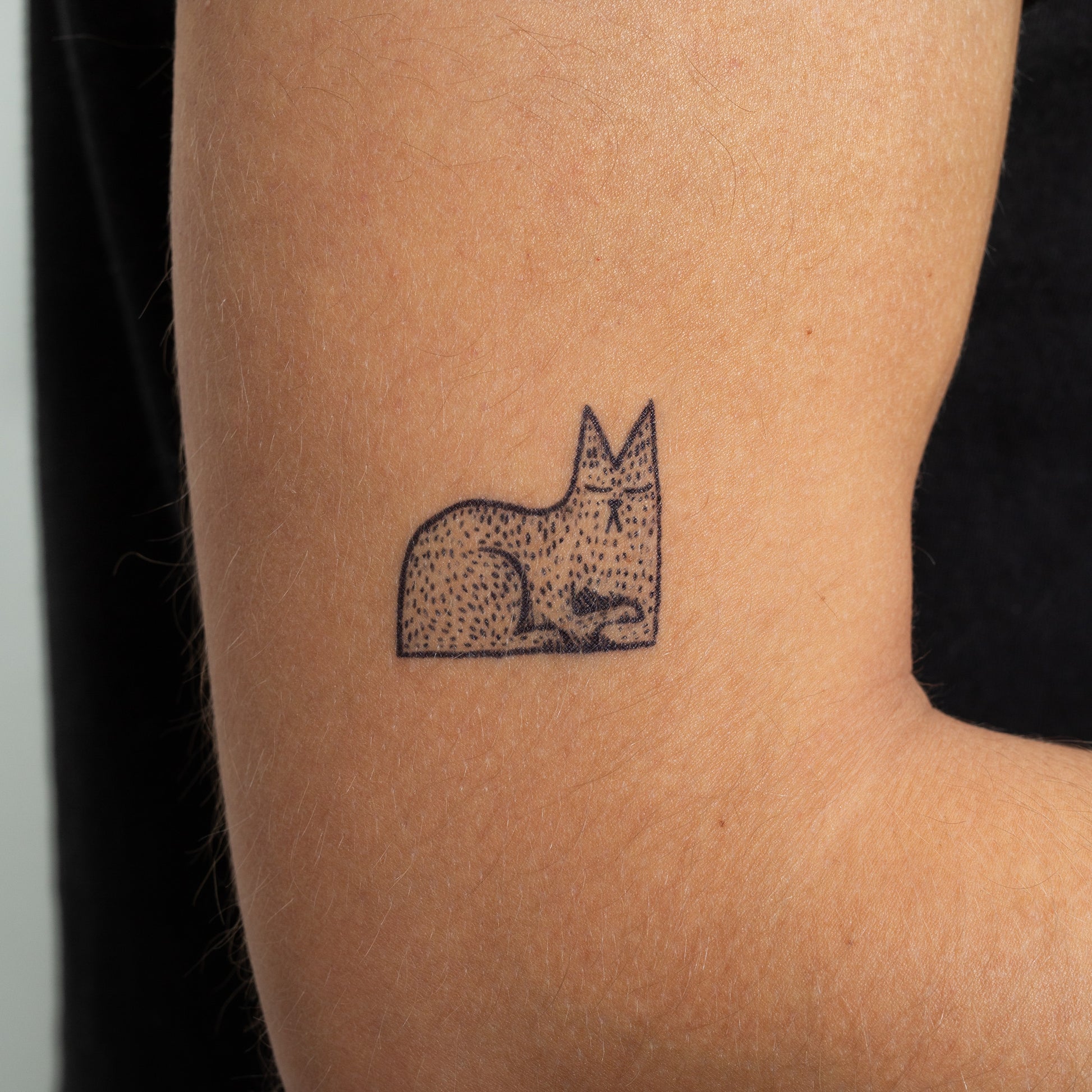 Semi permanent cat tattoos Jocie Juritz Collection
