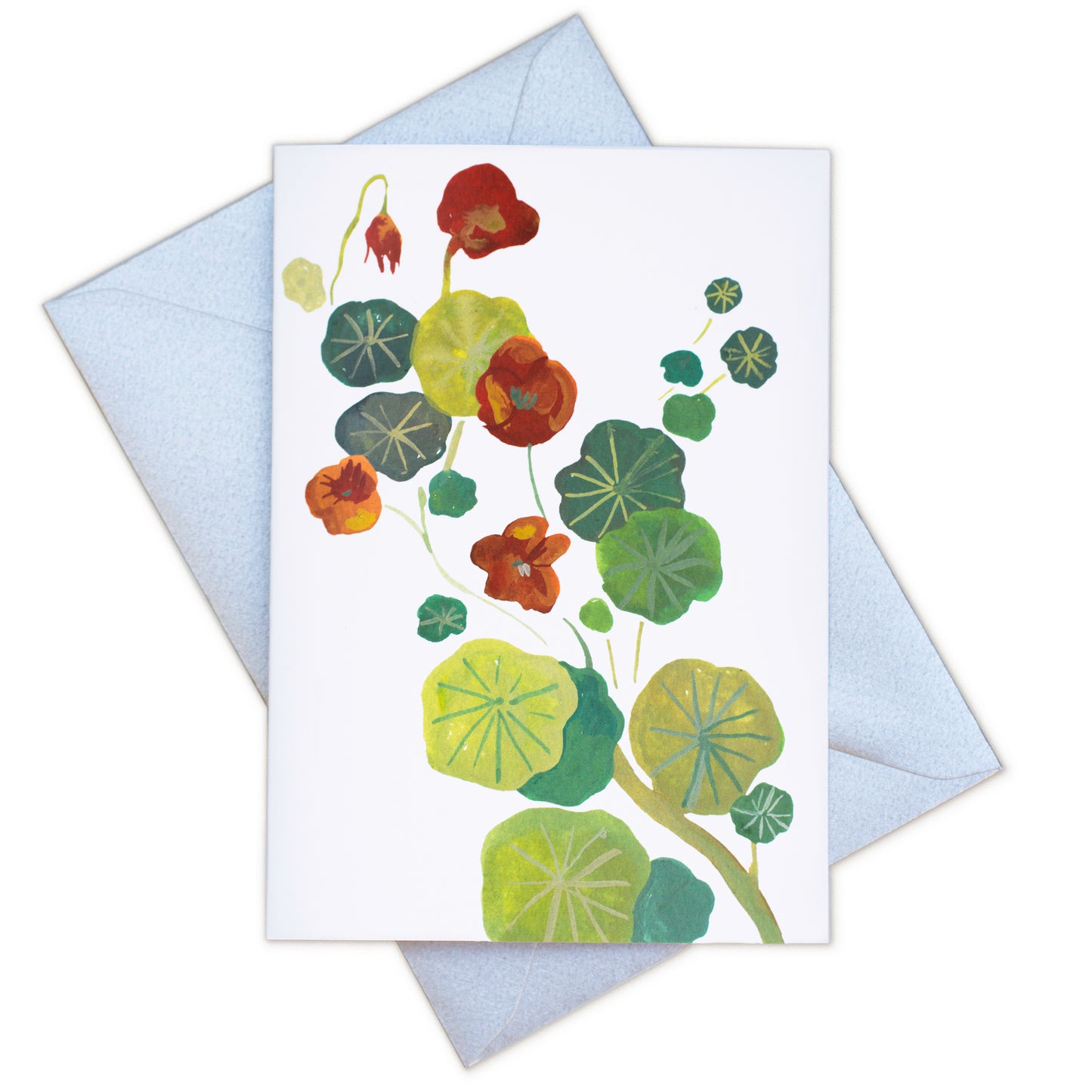 Greetings Card - Nasturtium